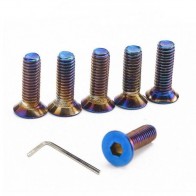 Kit Com 6 Parafusos Cabeça Chata Titanium M5x16mm P/ Fixação de Cubo no Volante Esportivo Epman – Neo Chrome