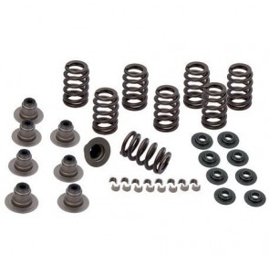 Kit de Mola de Válvula Woods lift .600 Milwaukee-Eight